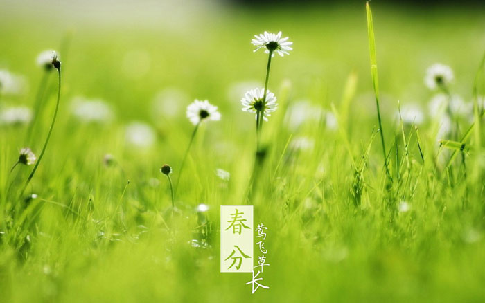 即就是东风十里，依然不如你