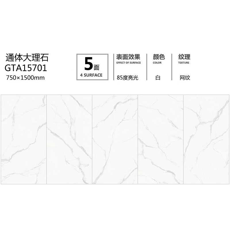 GTA15701定造